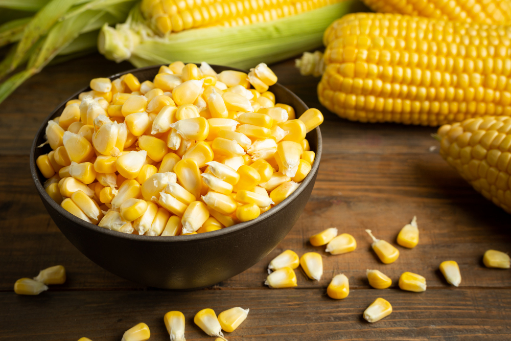 Close-up of sweet corn on a table